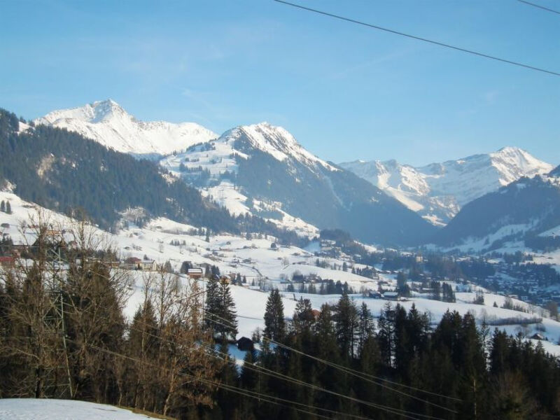 Meieli
