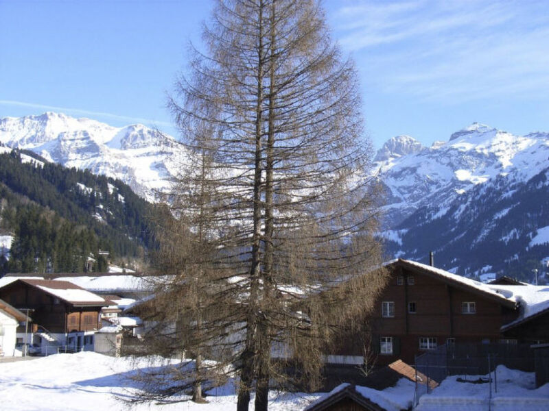 Oberriedstrasse 5