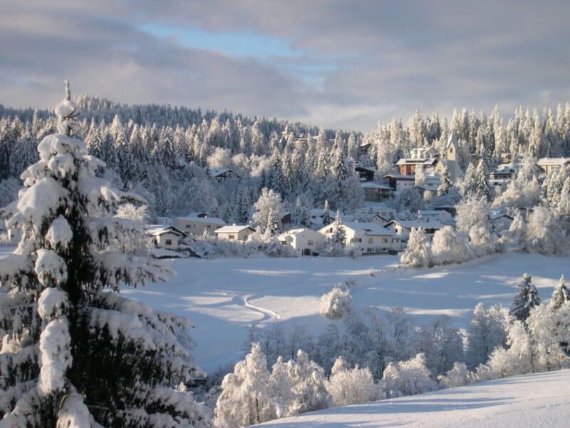 PANORAMA A23 / Fitzi