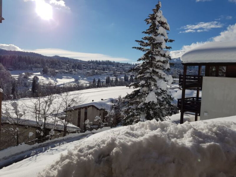 PANORAMA A23 / Fitzi