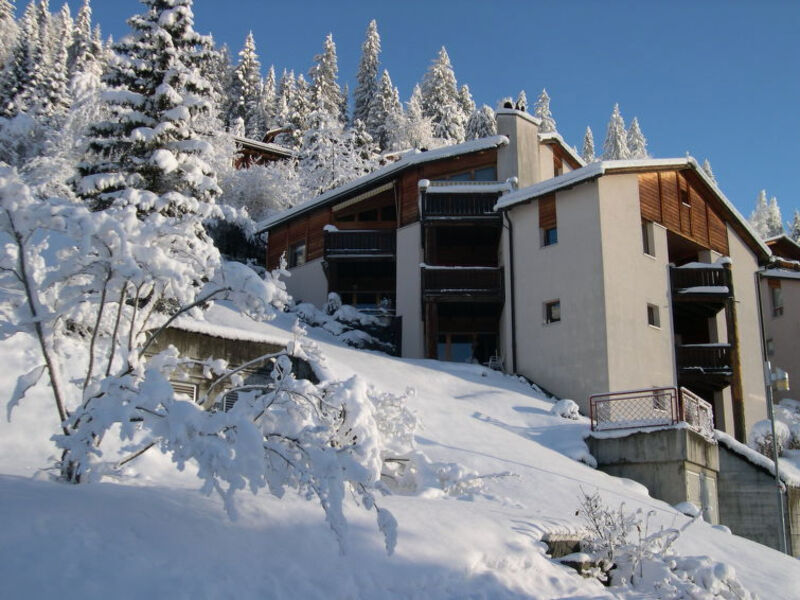 PANORAMA A23 / Fitzi