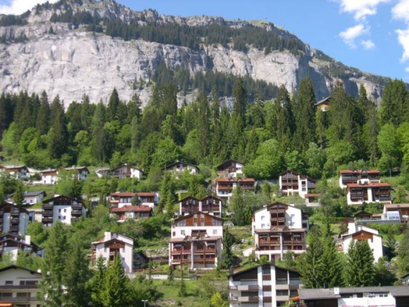 PANORAMA A23 / Fitzi