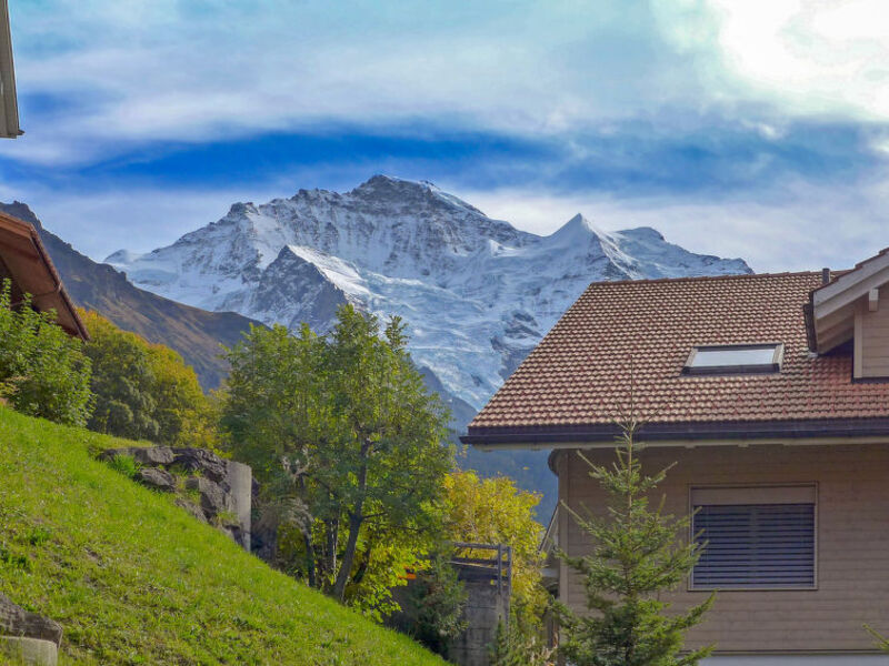 Panorama
