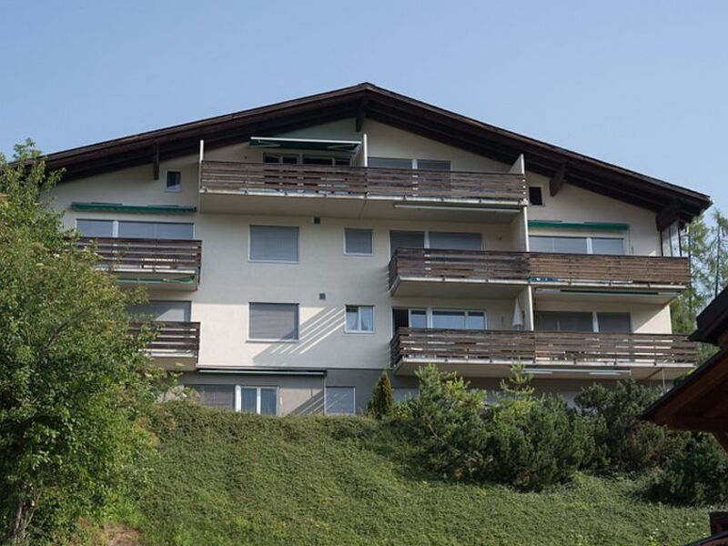 PIGNIA 2 / Schneider