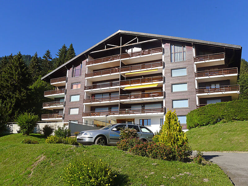 Schuss 23