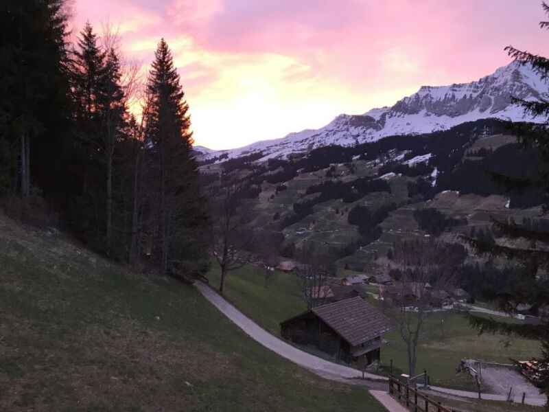 Sonnenheim