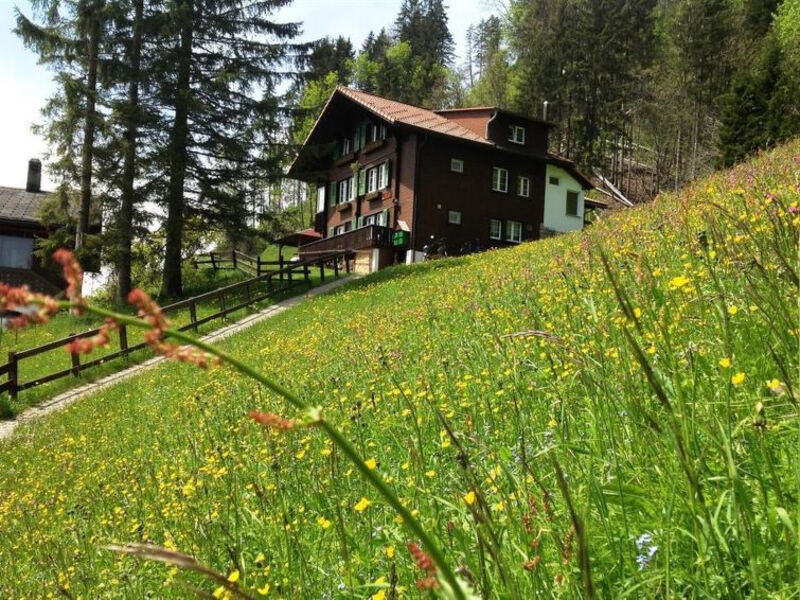 Sonnenheim
