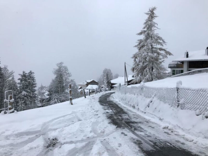 Sonnenheim