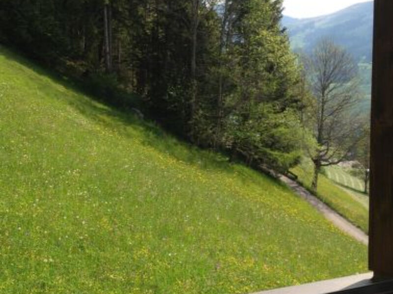 Sonnenheim