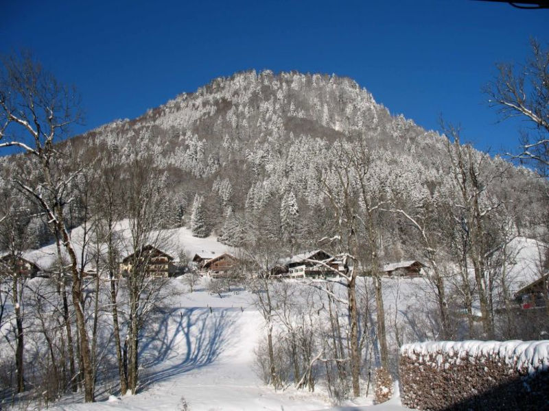 Steinbach