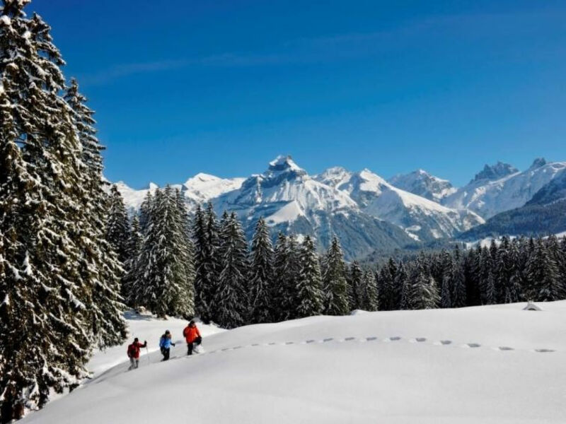 TITLIS Resort Wohnung 103