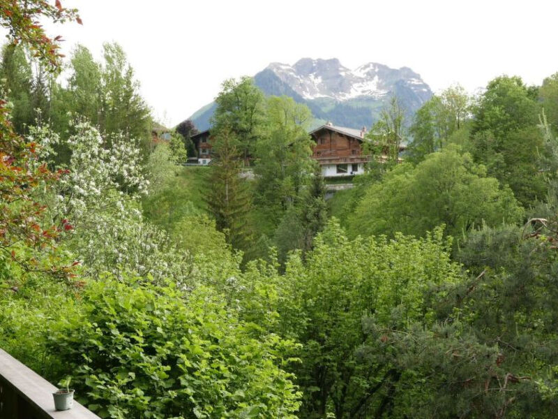 Tree-Tops, Chalet