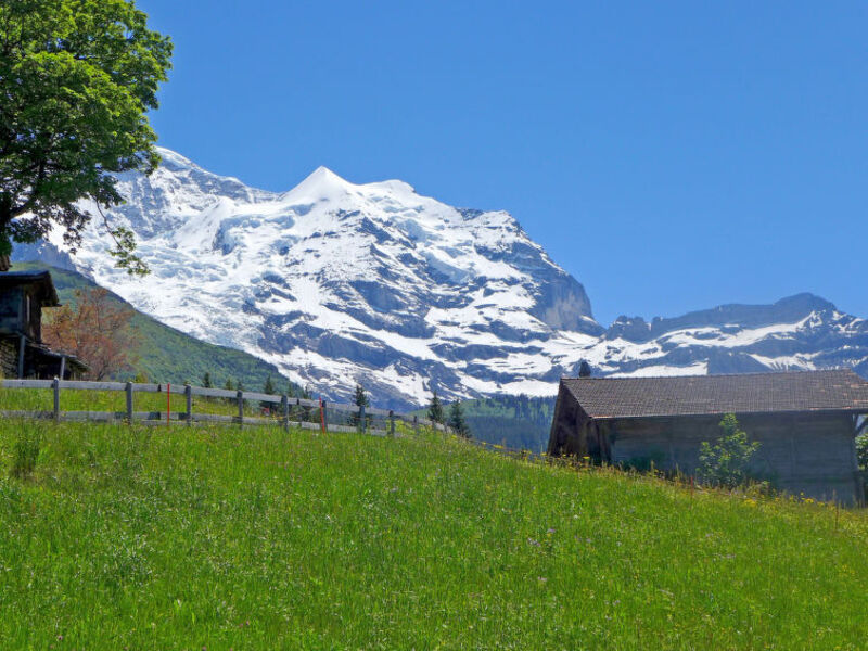 Tschingelhorn