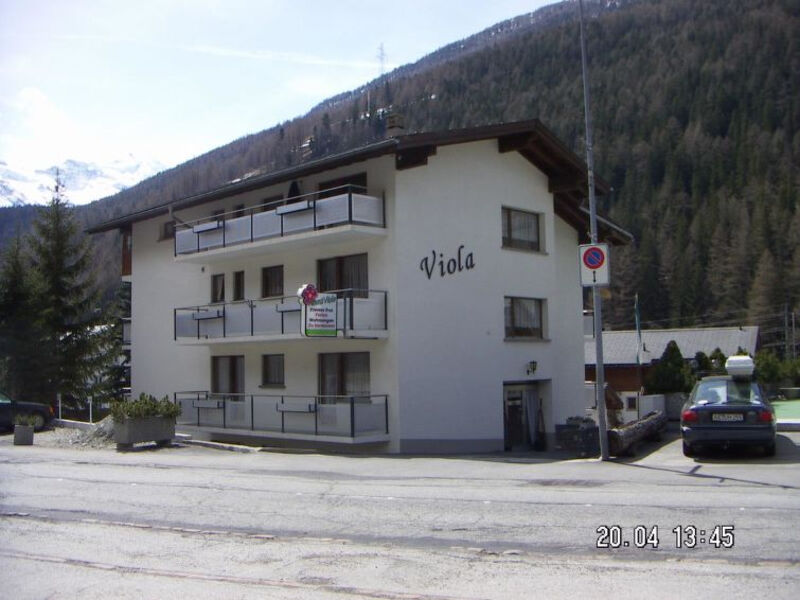 Viola
