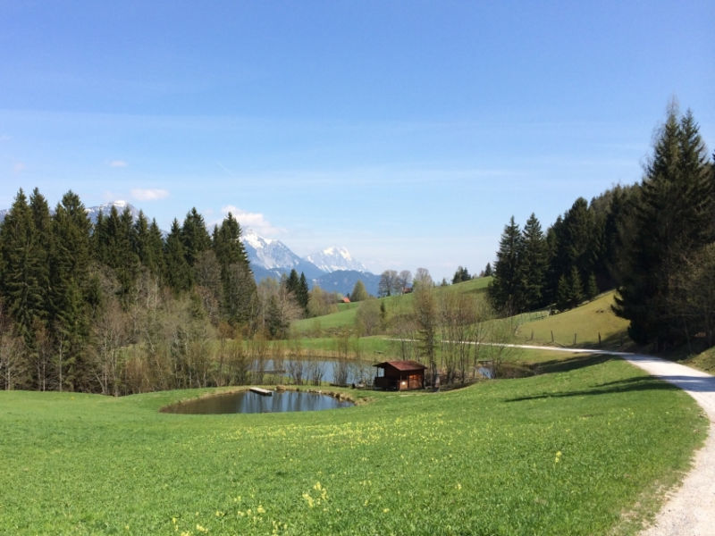 Waldegg