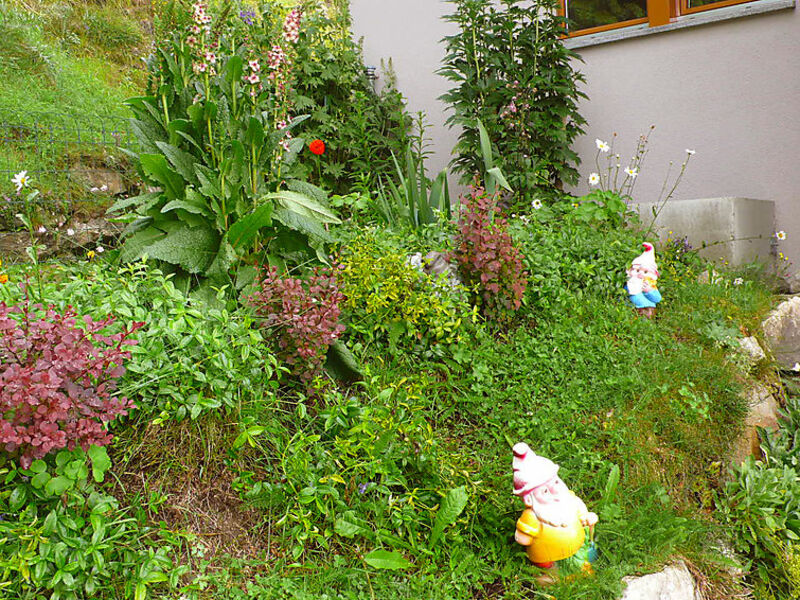 Wohnung 1
