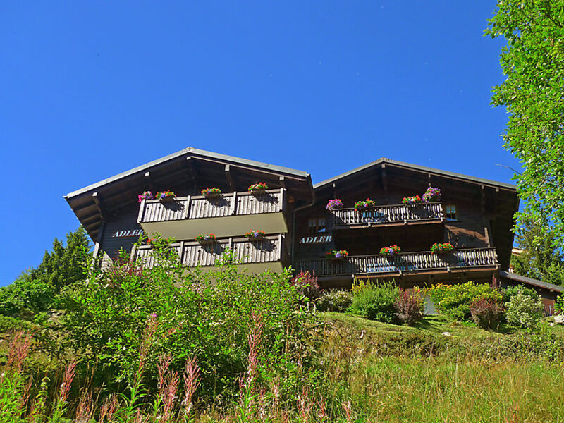 Wohnung 1