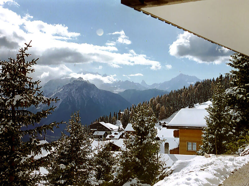 Wohnung 1