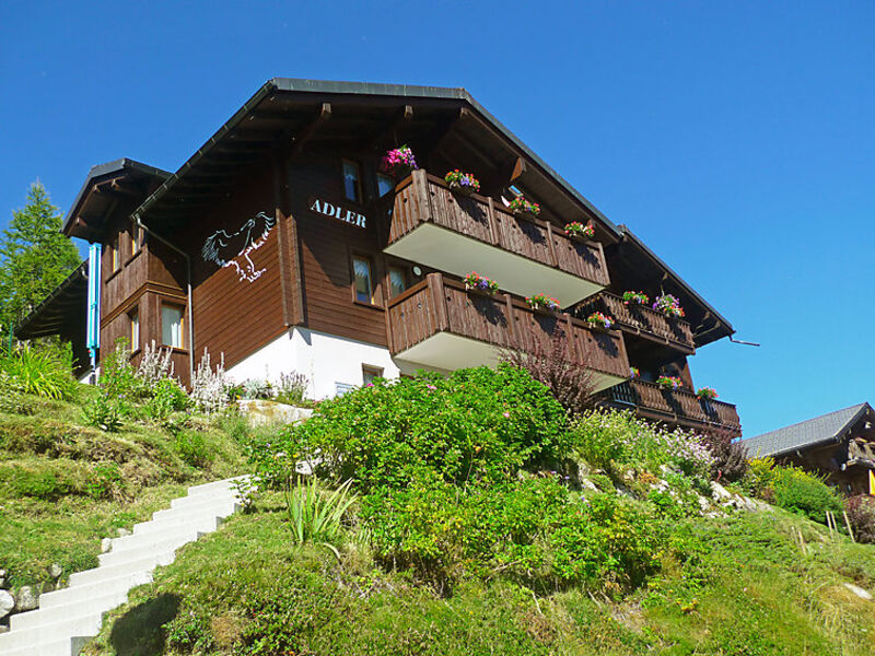 Wohnung 1