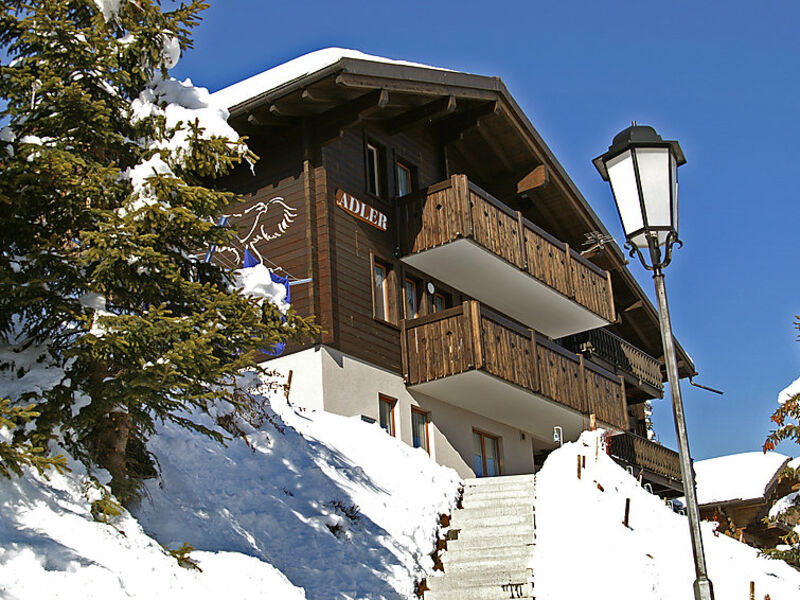 Wohnung 1