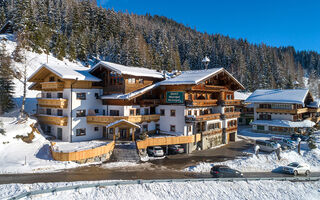 Náhled objektu Grünholz, Mühlbach am Hochkönig, Hochkönig Winterreich, Austria