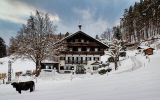 Náhled objektu Berghotel Hinterduxerhof, Kufstein, Wilder Kaiser - Brixental / Hohe Salve, Austria