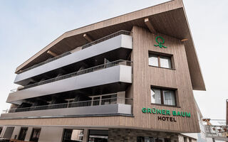 Náhled objektu Grüner Baum, Zell am See, Kaprun / Zell am See, Austria