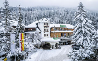 Náhled objektu GUT Trattlerhof & Chalets, Bad Kleinkirchheim, Bad Kleinkirchheim, Austria