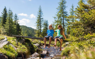 Náhled objektu Trattlerhof, Bad Kleinkirchheim, Bad Kleinkirchheim, Austria