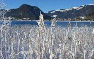 Náhled objektu Walchsee, Walchsee, Kaiserwinkl, Austria