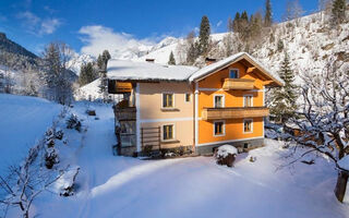Náhled objektu Haus Schober, Mühlbach am Hochkönig, Hochkönig Winterreich, Austria