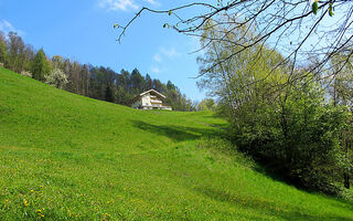 Náhled objektu Achtalgut, Goldegg, Salzburger Sportwelt / Amadé, Austria