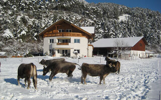 Náhled objektu Apartmánový dům Gundolf Arzl, Arzl im Pitztal, Pitztal, Austria