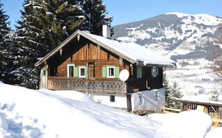 Náhled objektu Chalet Hungerbichl, Hollersbach, Oberpinzgau, Austria