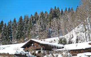 Náhled objektu Eusch, Hinterglemm, Saalbach - Hinterglemm / Leogang / Saalfelden, Austria