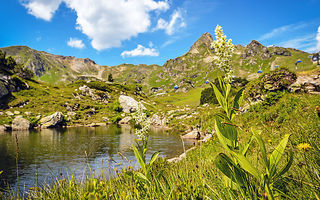 Náhled objektu family plus, Obertauern, Lungau / Obertauern, Austria