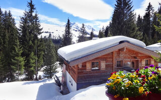 Náhled objektu Ferienappartments Astn Hütten, Königsleiten, Oberpinzgau, Austria