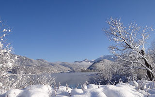 Náhled objektu Forsthaus, Strobl am Wolfgangsee, Salzkammergut / Ausseerland, Austria