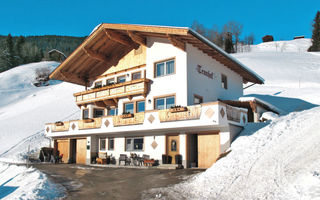 Náhled objektu Haus Tennhof, Zell am Ziller, Zillertal, Austria